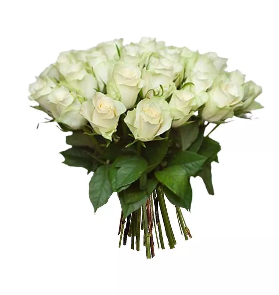 Heavenly White Rose Collection: 25 Stems