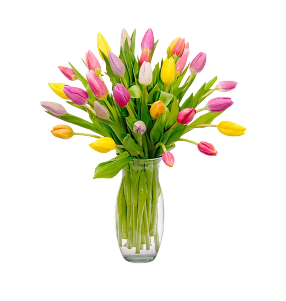 Charming Tulip Collection with Elegant Vase & Gourmet Treats